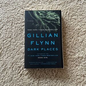 Gillian Flynn Dark Places Book